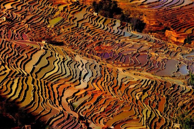 Qingkou Hani Village