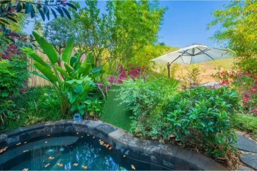 Dinosaur-Valley-Hot-Spring-Hotel