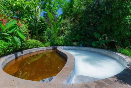 Dinosaur-Valley-Hot-Spring-Hotel