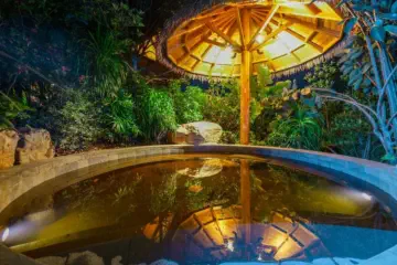 Dinosaur-Valley-Hot-Spring-Hotel