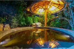 Dinosaur-Valley-Hot-Spring-Hotel