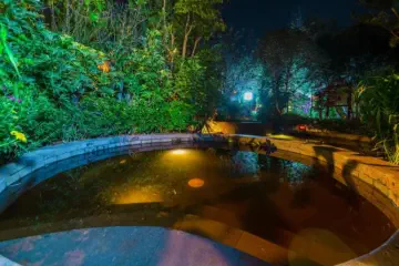 Dinosaur-Valley-Hot-Spring-Hotel