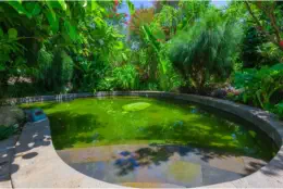 Dinosaur-Valley-Hot-Spring-Hotel