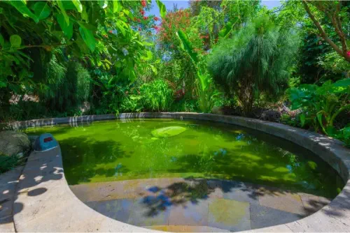 Dinosaur-Valley-Hot-Spring-Hotel