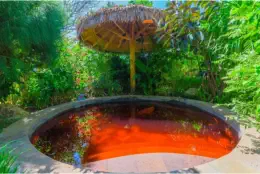 Dinosaur-Valley-Hot-Spring-Hotel