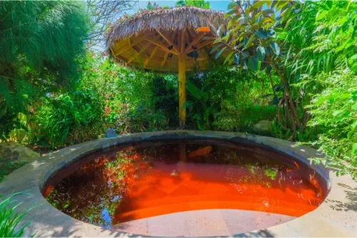 Dinosaur-Valley-Hot-Spring-Hotel