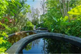 Dinosaur-Valley-Hot-Spring-Hotel