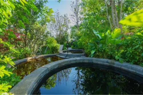 Dinosaur-Valley-Hot-Spring-Hotel