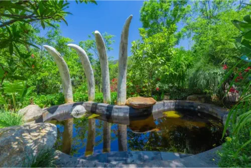 Dinosaur-Valley-Hot-Spring-Hotel