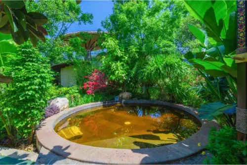 Dinosaur-Valley-Hot-Spring-Hotel