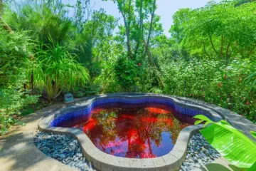 Dinosaur-Valley-Hot-Spring-Hotel