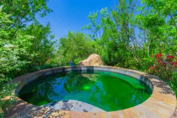 Dinosaur-Valley-Hot-Spring-Hotel