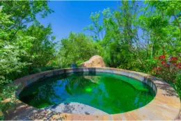 Dinosaur-Valley-Hot-Spring-Hotel