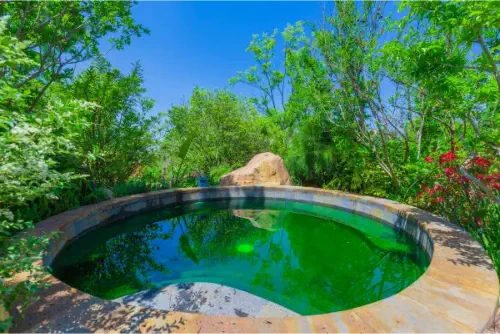 Dinosaur-Valley-Hot-Spring-Hotel