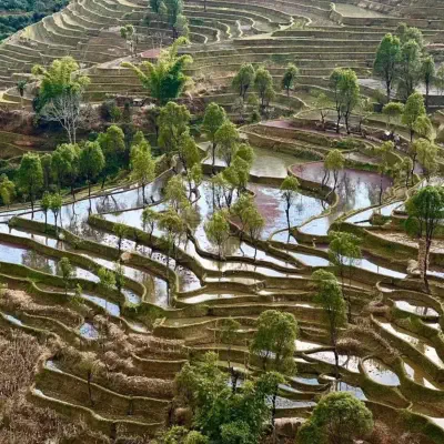 qingkou hani village