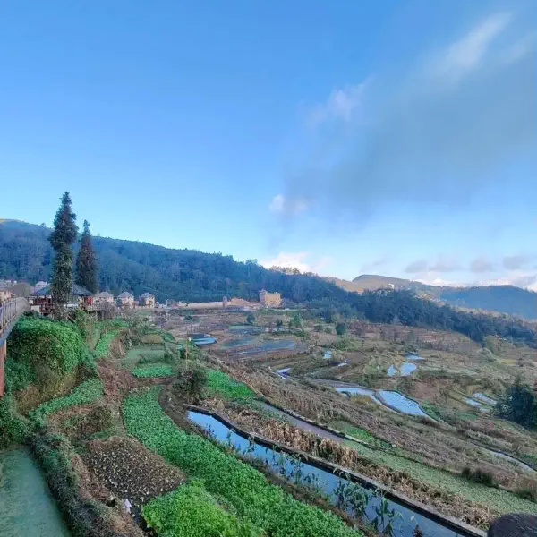 qingkou hani village