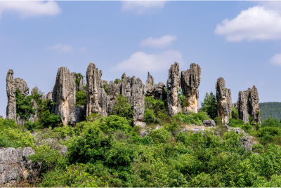 The Stone Forest or Shilin