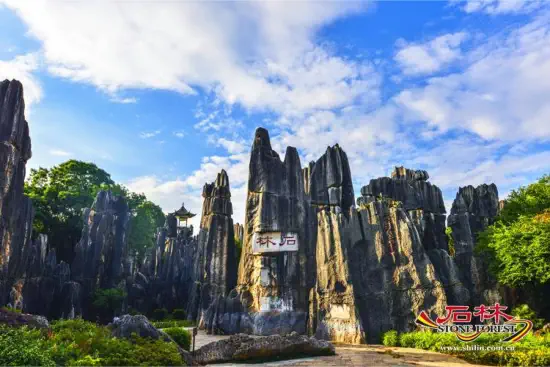 Stone Forest Scenic Area