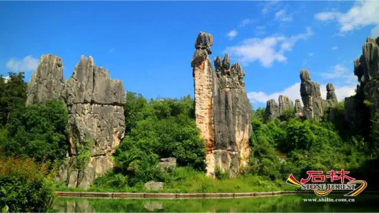 Stone Forest Scenic Area