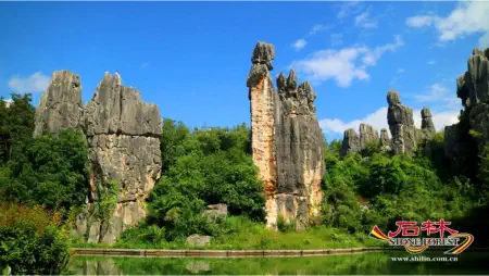 Stone Forest Scenic Area