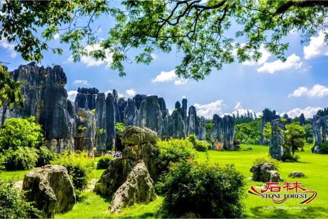 Stone Forest Scenic Area