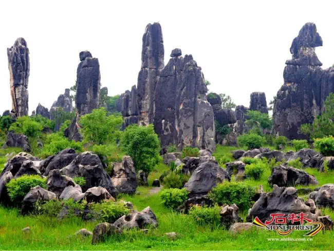 Stone Forest Scenic Area