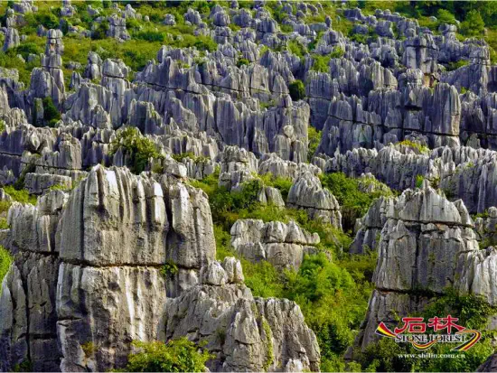 Stone Forest Scenic Area