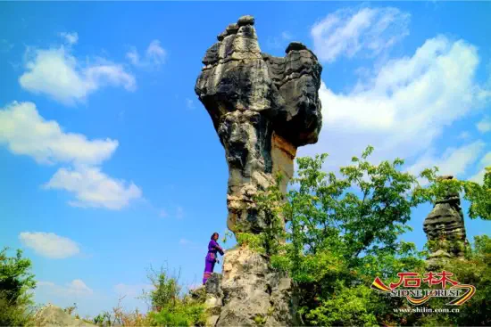 Stone Forest Scenic Area