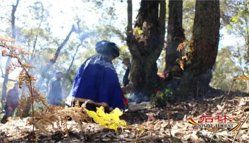 Stone Forest Scenic Area