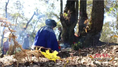 Stone Forest Scenic Area
