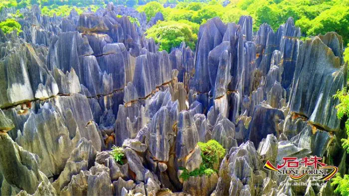 Stone Forest Scenic Area