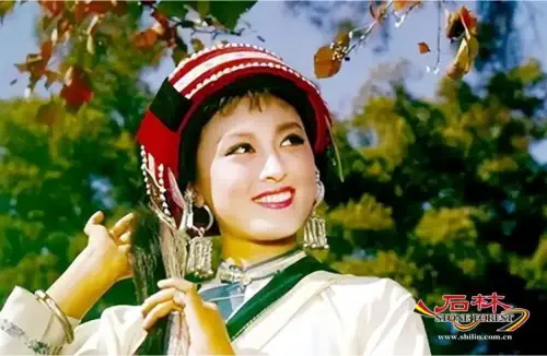 Stone Forest Scenic Area