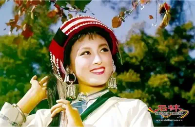 Stone Forest Scenic Area