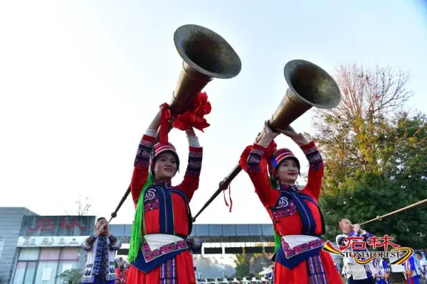 Stone Forest Scenic Area