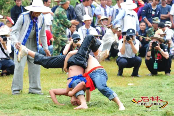 Stone Forest Scenic Area