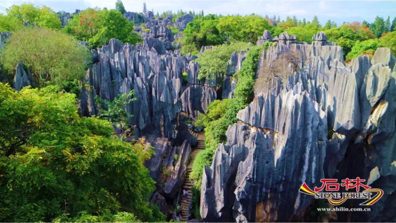 Stone Forest Scenic Area