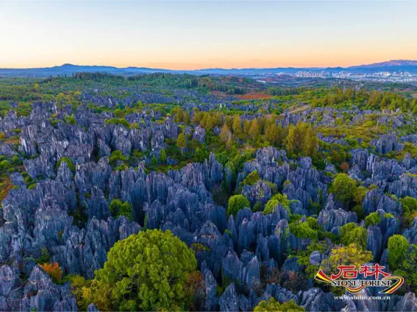 Stone Forest Scenic Area