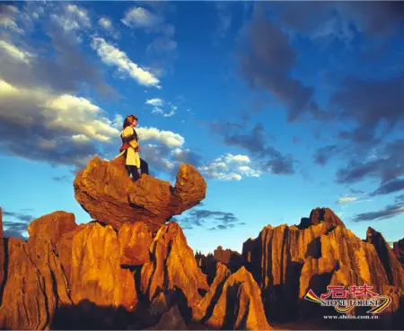 Stone Forest Scenic Area