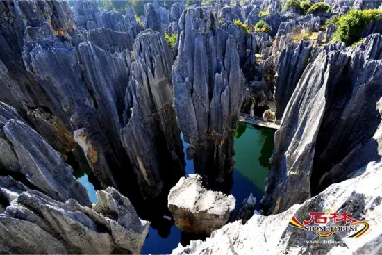Stone Forest Scenic Area