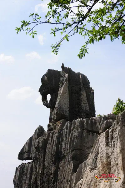 Stone Forest Scenic Area