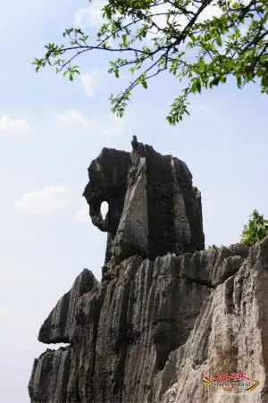 Stone Forest Scenic Area