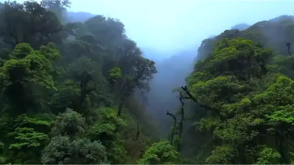 Ailao Mountains