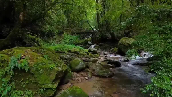 Ailao Mountains