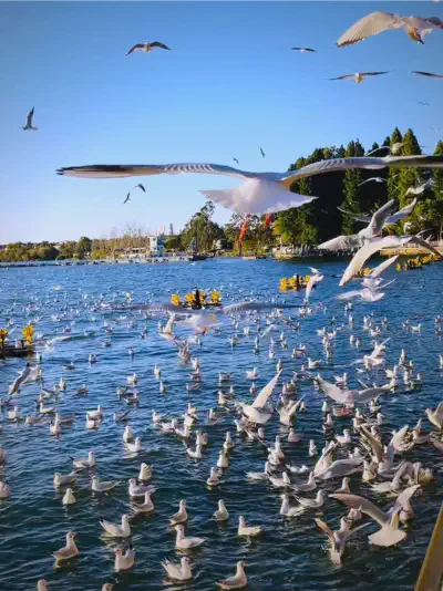 Kunming Haihong Wetland