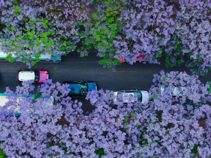 Kunming